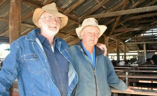 Graham Stewart and Lyn Patterson look at what’s available at the pig and calf sale. Graham Stewart and Lyn Patterson look at what’s available at the pig and calf sale.